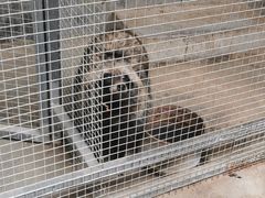 -揭东万竹园旅游景区