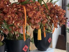 -F.Story 花和故事(新天地店)