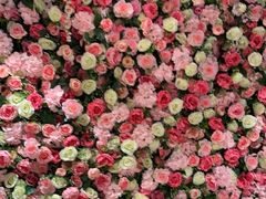 -辣小妮de川菜馆(红旗Mall店)