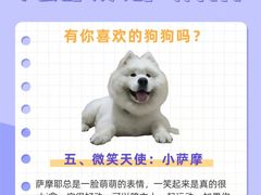 -申普宠物医院·心脏介入·心血管微创(总院)