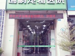 -瑞鹏宠物医院华南总院·夜诊·心脏科·骨科