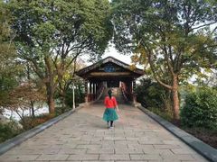 -长广溪湿地公园
