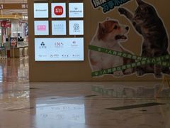 -凯德MALL(望京店)