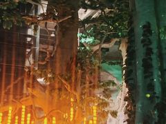 -福州罗源湾海洋世界旅游区