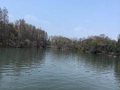 -东湖落雁景区