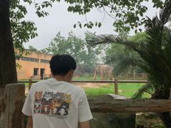 -南昌动物园