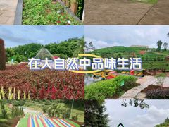 -广垦（茂名）国家热带农业公园