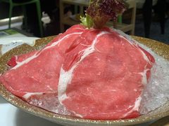 -洪氏嗨捞·猪肚鸡火锅(阳光天地店)