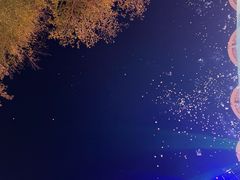 -海心沙亚运公园