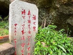 -武夷山风景名胜区-虎啸岩