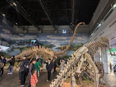 -自贡恐龙博物馆