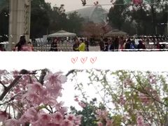 -南山植物园