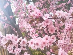 -北京市劳动人民文化宫(太庙)