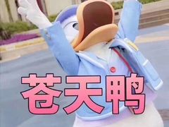 -野狸岛