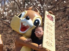 -欢乐松鼠谷