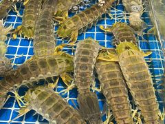 -阿浪海鲜连锁加工店(B栋2排1号火车头店)