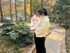 -葱妈母婴医护月嫂中心(浦东店)