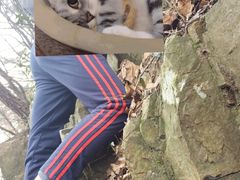 -紫金山索道-售票处