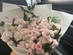 -鲍师傅糕点(八一馆店)