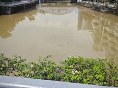 -松發肉骨茶(克拉码头店)