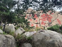 -崂山巨峰游览区