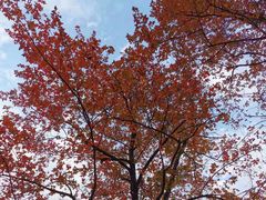 -会稽山峡洞漂流-上青古道