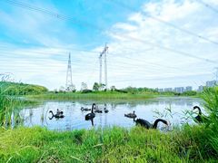 -昆山城市生态森林公园