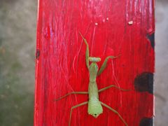 -碓臼峪自然风景区