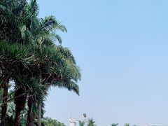 -荔枝公园(福田区)