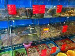 水产区-渔中舟海鲜大排档(普陀沈家门店)