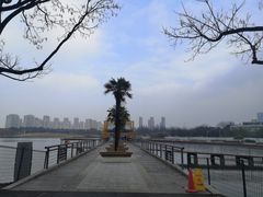 -白塘生态植物园