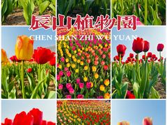 -上海辰山植物园