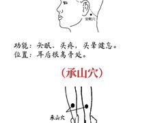 -雅享养生·中医调理·筋骨艾灸(广兰路店)