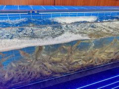 -0048鲜活香辣虾·火锅(铜陵路店)