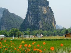 -明仕田园