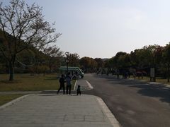 -龙寺生态园