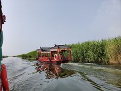 -白洋淀景区