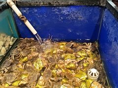 -遇上西雅图多融合海鲜自助餐厅(中房金谊广场店)