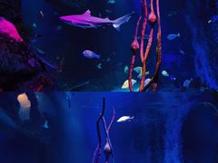 -沈阳海洋探索中心