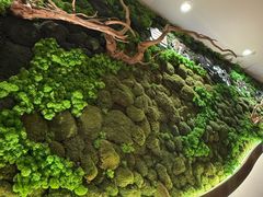 -云海肴汽锅鸡·云南小炒(曲江大悦城店)