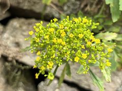 -终南山南五台景区