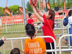 -春花秋色城市公园