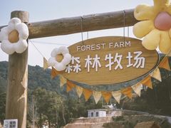 -龙岩森林水乡景区