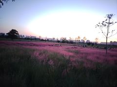 -汉长安城未央宫国家考古遗址公园