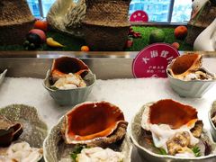 大海螺片-阳光岛·海鲜盛宴(银泰中心in99店)