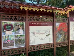 -香炉山国家森林公园