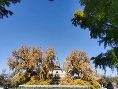 -北京石刻艺术博物馆(五塔寺)