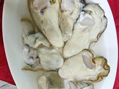 -花苑美食横琴生蚝火锅(拱北粤华路店)