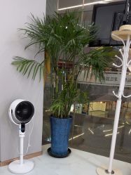 -洗脸熊·洗脸吧