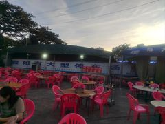 -霞姐屯昌枫木香草鸭店(海螺店)
